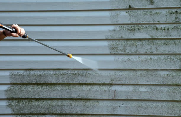 Best Fence Cleaning  in Rugby, ND